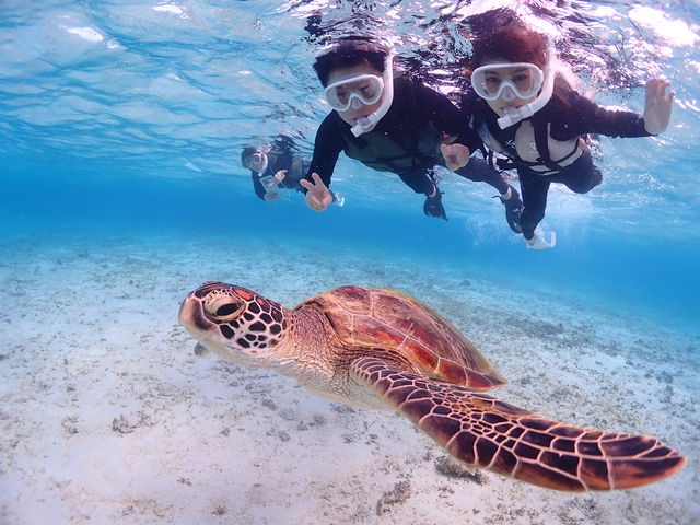 �������j���Ȃ���x�X�g�V���b�g��T���܂���_CHAMP TOUR �{�Ó�