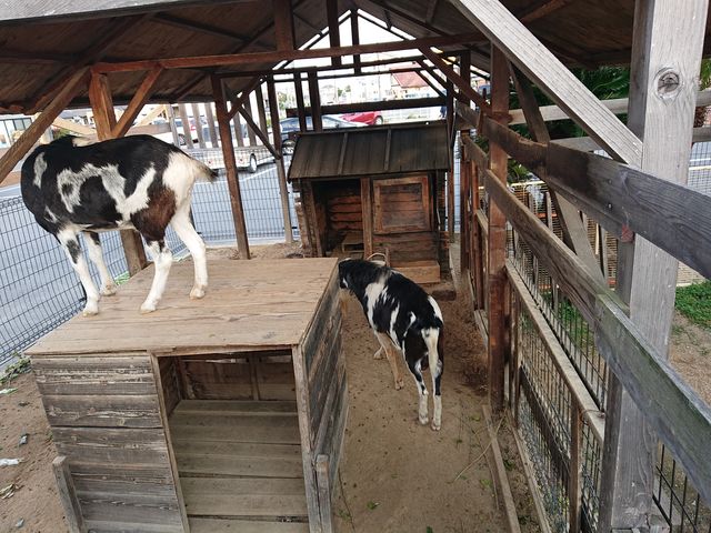 Rs@͂΂XNGA_͂΂XNGA