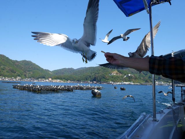 �J�����̉a���̌�_�C��^�N�V�[�@�T����