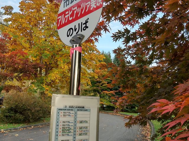 �g�t�ƃo�X��_���c���������p�� �A���e�s�A�b�c�@���S