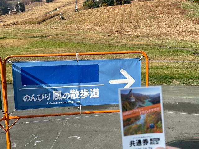 �S���h������Ƀo�X�ł͂Ȃ�������_�c��X�L�[��