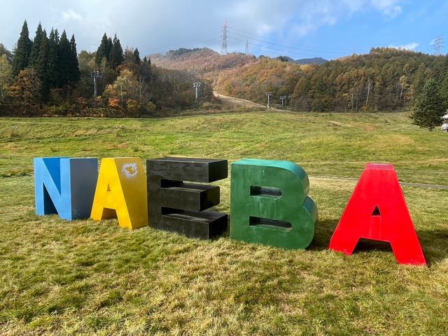 ���̎U�����Ɏʐ^�X�|�b�g����܂��A�X�}�z�u��������܂��̂ŁA�J�b�v���ł�����l�ŎB��܂���B_�c��X�L�[��