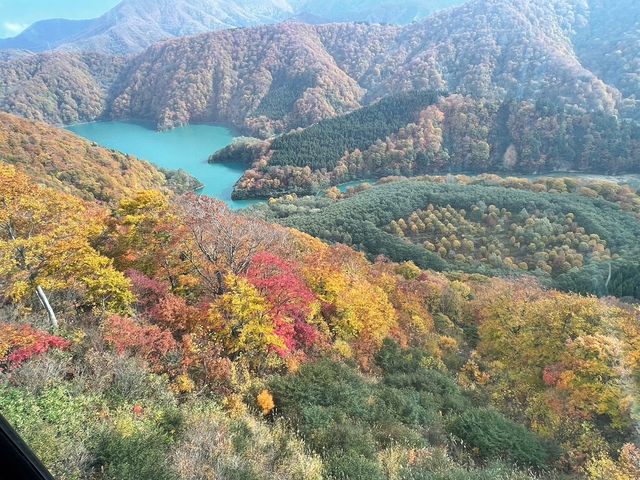 �S���h������̃j����_�c��X�L�[��