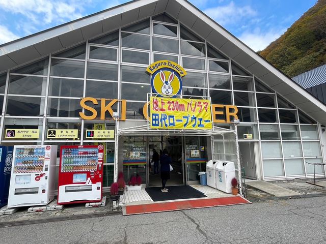 �c�ネ�[�v�E�F�C_�c��X�L�[��