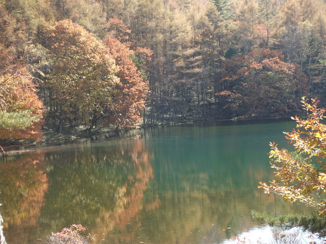 �Ђ��񂳂�̌�ˎ��r�̍g�t�̓��e�ʐ^1