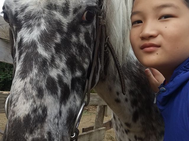 �A�p�����_HORSE BASE