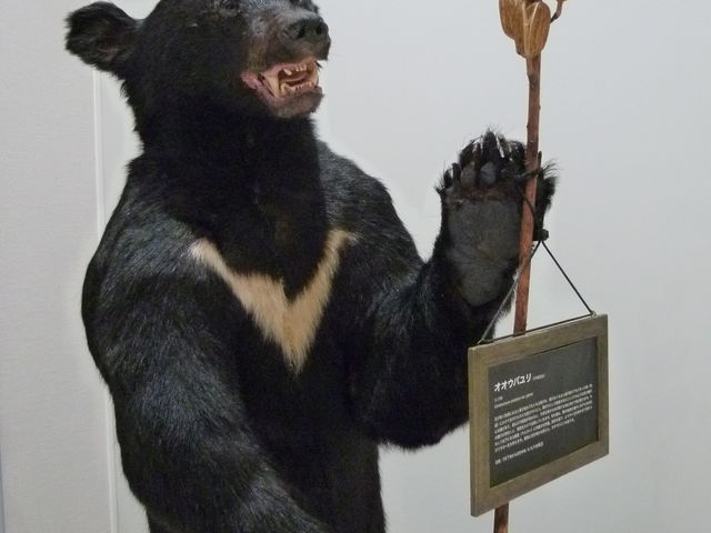 IIEoɂcLmO}̂͂_rW^[Z^[