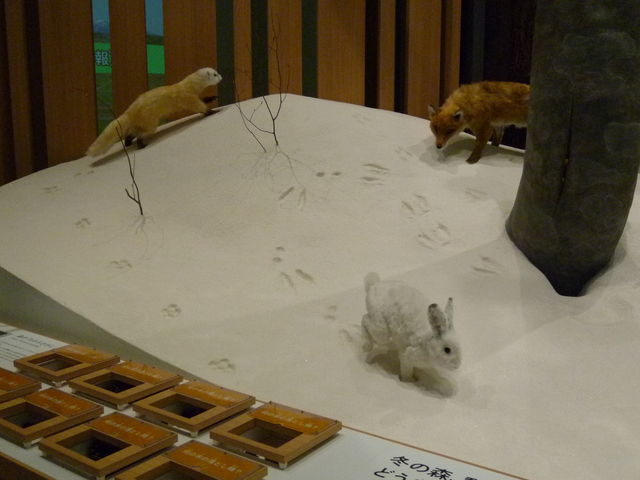 �W�����@�E�T�M�A�L�c�l�A�e�����������_���������r�W�^�[�Z���^�[