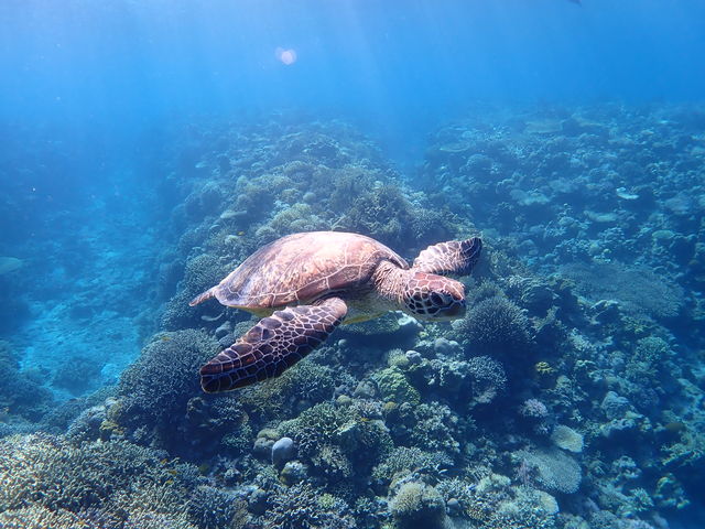 ��������B���Ē������ʐ^�ł� ������������łƂĂ��Y��ł�_�����