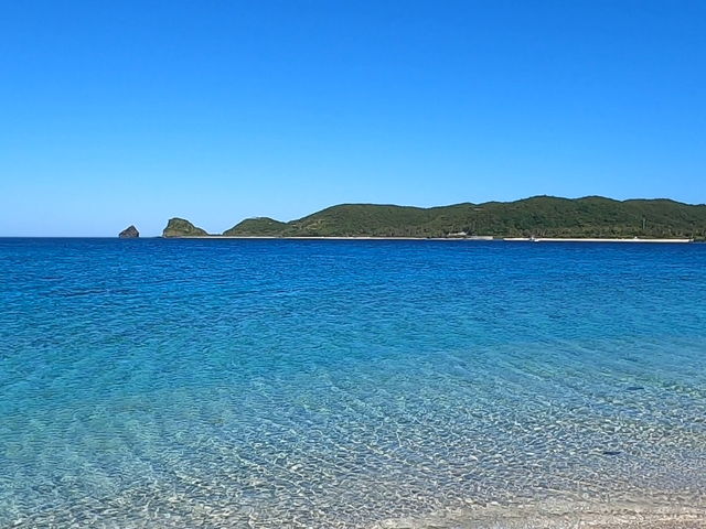 �c�Ǌԃu���[_�����