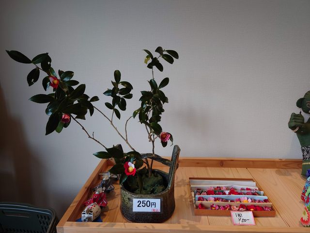 ̔_g@li @ER̃Z^[̓eʐ^3