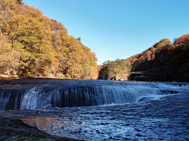 ������_�����̑�