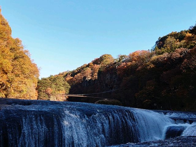 �����̑�_�����̑�