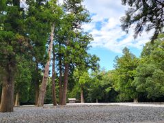 Matthew̋ߋE{SЂւ̓eʐ^1