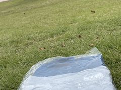 ܂͂邳̕x^͊ւ̓eʐ^1