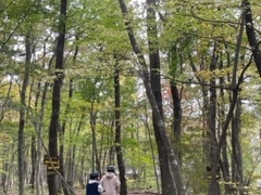 ₳̃WCChp[Nւ̓eʐ^1