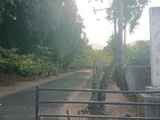 g̎]{i쌧썑_Ёj̓eʐ^5