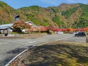 p񂳂̔~Vc ̓̓eʐ^1