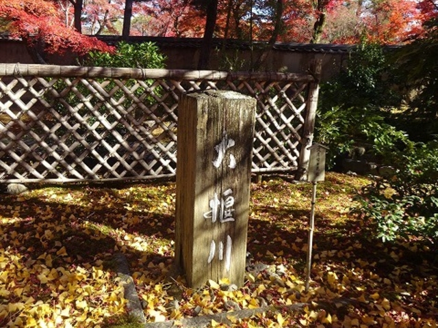 ˂ނ炳̕󌵉@̍gt̓eʐ^1