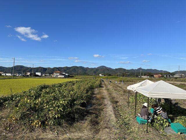 ������_�O�g�ӂ邳�Ƒ�