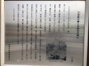 Ƃ񂳂̑Ă̐wÐՂ̓eʐ^2