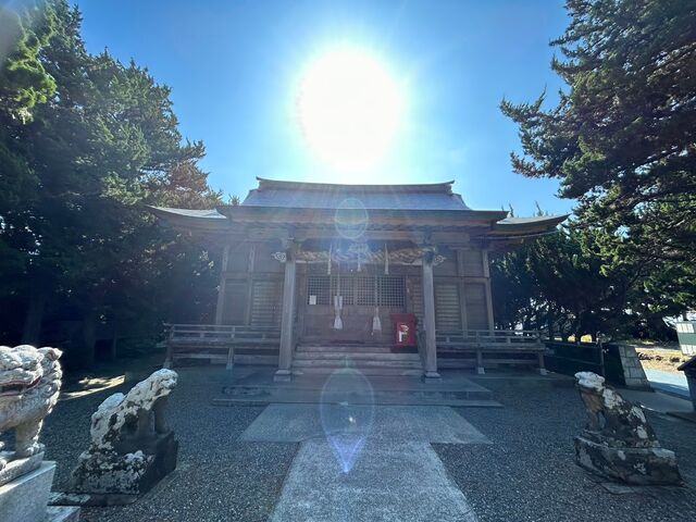 ����������Ă��܂��B_�����_��