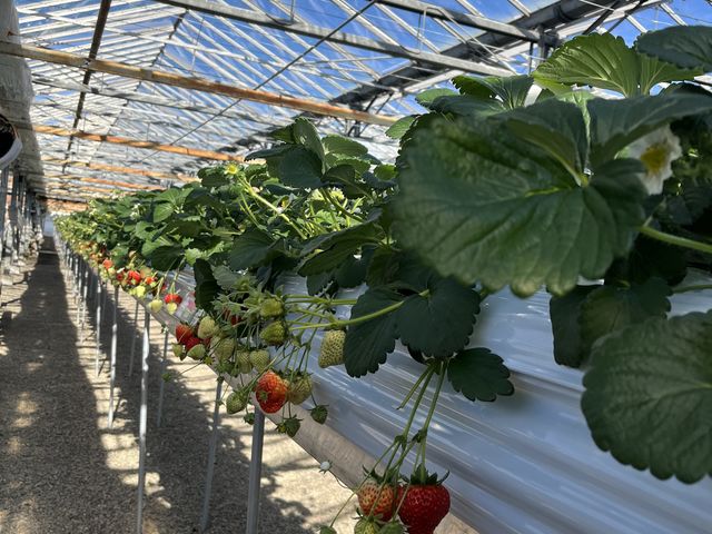 �ǂ����V�C�ł����B_�x�W�^�u���K�[�f��