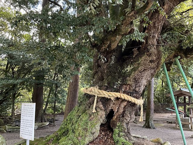 Shota����̉��ΐ_�Ђ̓��e�ʐ^1