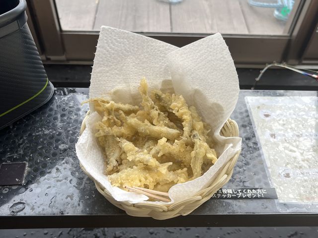 ���J�T�M�̓V�Ղ�_NaturaBase