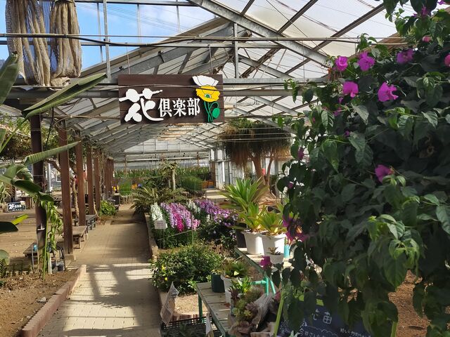 �ٓ����i_���̉w �����̗��ԋ�y��