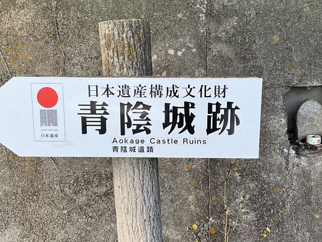 Shota̐A隬̓eʐ^1