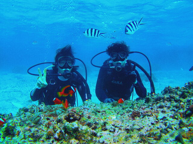 ���܂̂�_�V�[���o�[�Y����