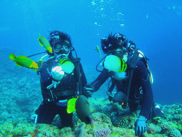 �a���_�V�[���o�[�Y����