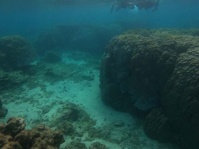 �ߓc�C�݂ɂ�_�����哇�E�F���l�X&�A�h�x���`���[UNIMARE