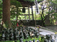 xsd݂̐{@ܗ֓Qւ̓eʐ^1