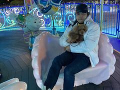 ñO[ie{X OiVAւ̓eʐ^1