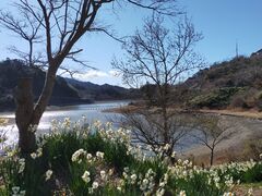 ڂ̍vԃ_ΐeւ̓eʐ^1