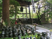 xsd݂̐{@ܗ֓Q̓eʐ^1