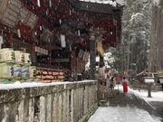 EbL[̖k{{ymԐ_Ђ̑吙̓eʐ^1