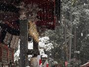 EbL[̖k{{ymԐ_Ђ̑吙̓eʐ^1