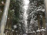 EbL[̖k{{ymԐ_Ђ̑吙̓eʐ^1