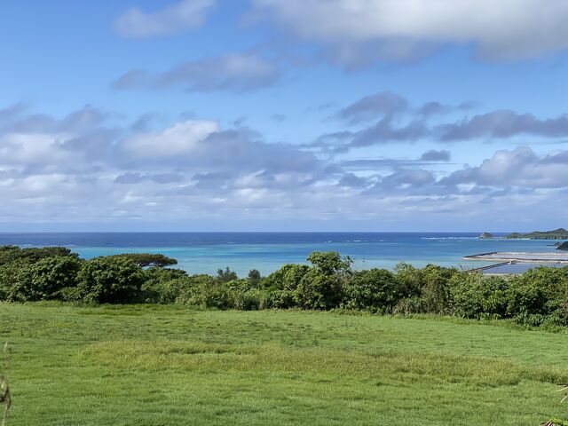 �����Ƀ}���^�X�N�����u�����ォ��_DSF�Ί_��