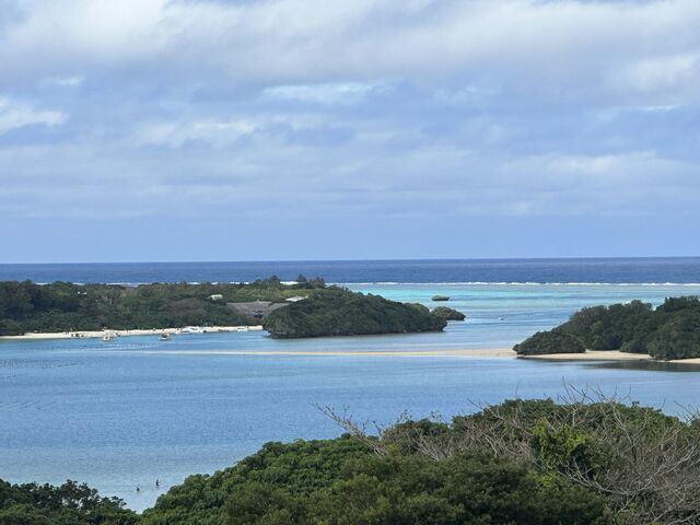 ������������̐약�p�̏ォ��L�O�B�e_DSF�Ί_��