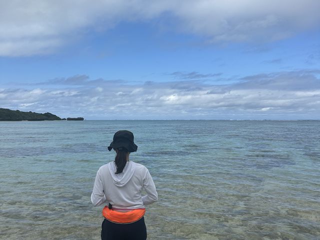 ����Ȕ鋫�ł̂�т�ނ肪�ł��܂�_DSF�Ί_��