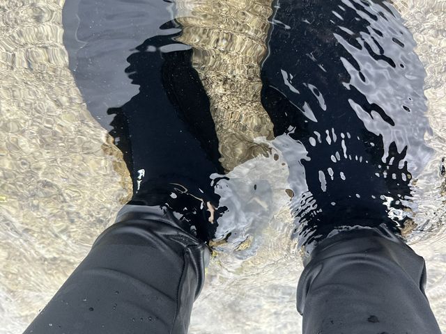 �����[�X�����̂ɑ����T���S�Ɗ��Ⴂ���ė���Ȃ��q�B�����ė��ɂȂ�܂����B_DSF�Ί_��