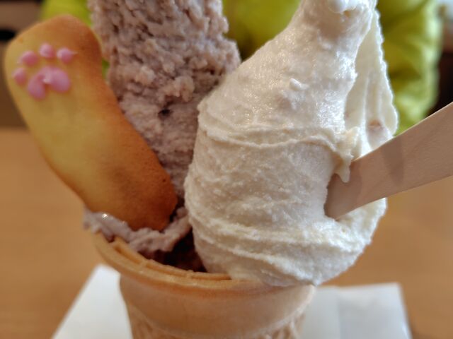 �W�F���[�g�i�������A�s�[�i�b�c�A�L�̓����j_���̉w�����@�[�D���̋�