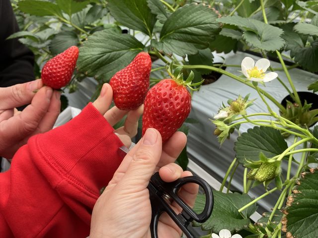 �傫��������_�O�����������ّO�c