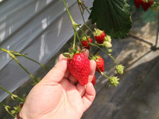 �ŏ��̃��[���̂������ł��B_�O�����������ّO�c