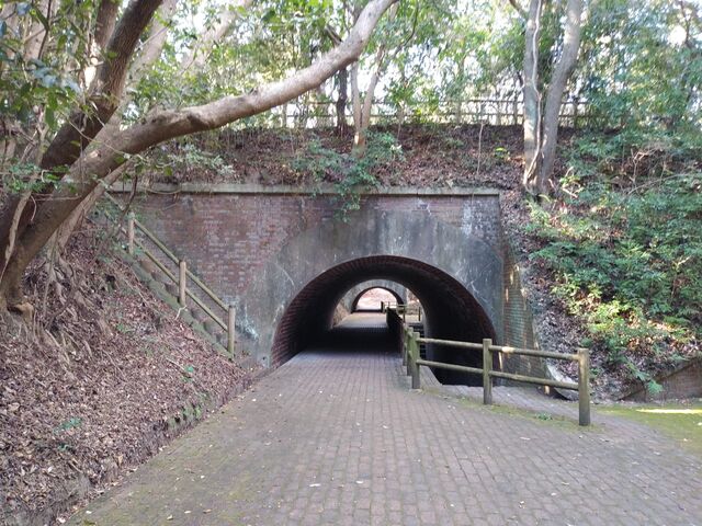 �C��ՓW�]�䂩��̒��߂��f���炵���ł��B_�x�ɑ��I�B����