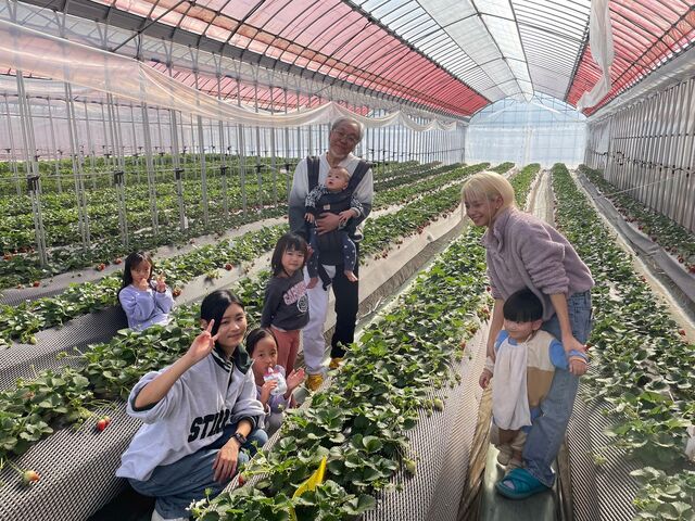 �R����W���ʐ^_�C�`�S�m�C�G